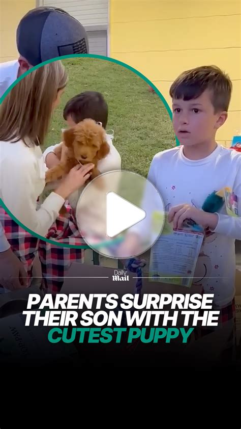 Puppy surprise leaves everyone in tears