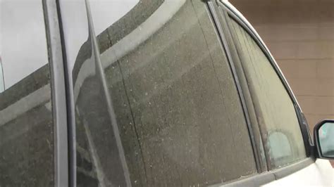 Pollen: it’s not as bad as it seems