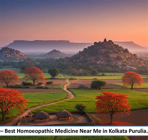 Best Homoeopathic Medicine Near Me in Purulia