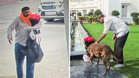 Delhi Assembly security scare: Suspect caught on cam, arrested; car seized