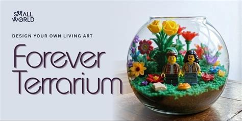 Attend Forever Terrarium in Bangalore on September 7, 2026 | AllEvents