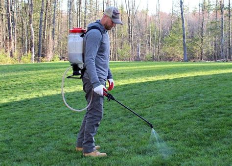 Celsius herbicide: Application tips and best practices