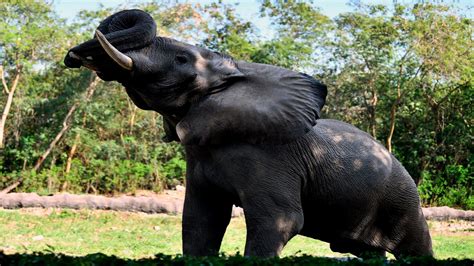 Delhi zoo launches 'Sunday spider and insect walk' to promote citizen ...