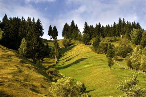 PENSIUNEA RODIS (Moieciu de Sus, Brasov County) - Hotel Reviews, Photos ...