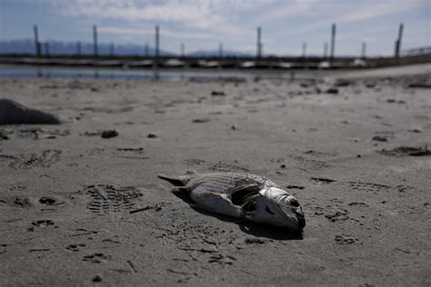 Why Trump wants to spend $1 billion on Great Salt Lake