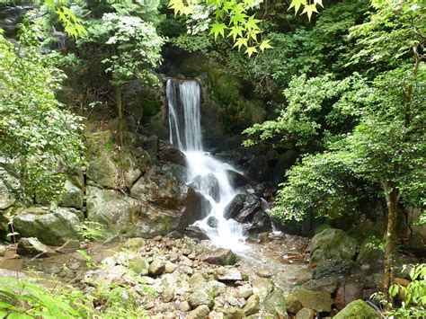 YUYADO STEAM HOUSE (Unzen) - Hotel Reviews & Photos - Tripadvisor