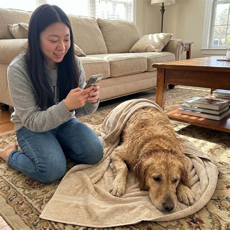 Water Intoxication in Dogs • designermixes