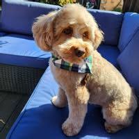 Best Festivals in Azamgarh December 2025 | AllEvents