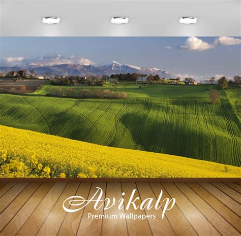 Avikalp Exclusive Awi5960 Rapeseed Fields Near A Small Town In Italy N ...