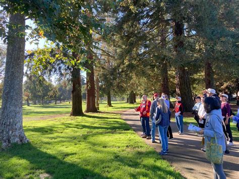 Tree Walk: Cuesta Park, Cuesta Park, Mountain View, 21 February 2026 ...