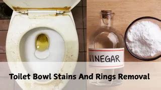 Pre-Wedding Shoot Ideas That Are Stylish, Timeless And Not Cringe