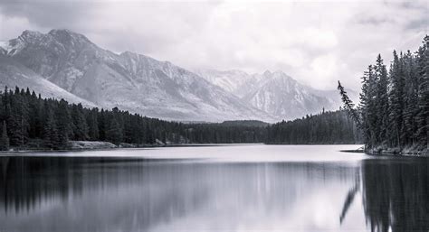 Pension income splitting and the pension income tax credit · The Miotto Group · Scotia Wealth ...