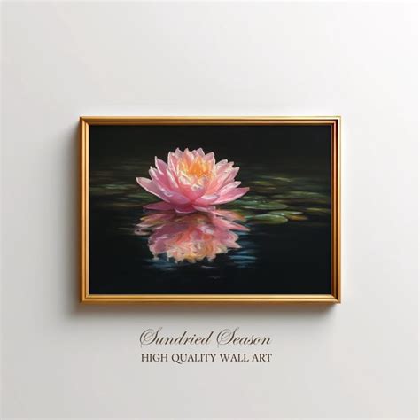Pink Lotus Flower Pond Tranquil Zen Water Lily Botanical Nature ...