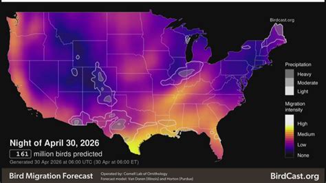 Over 5 million birds will be migrating over Washington tonight | krem.com