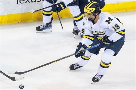 University of Michigan Wolverines Football & Basketball - MLive.com