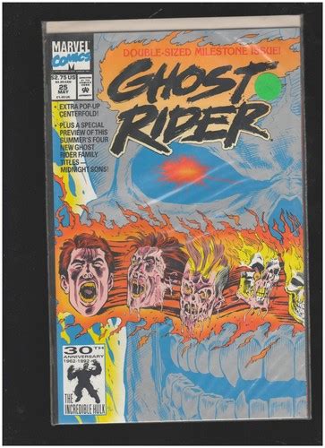 Ghost Rider #25 Vol. 3 Marvel Comics 1992 Double-Sized Wright Mackie ...