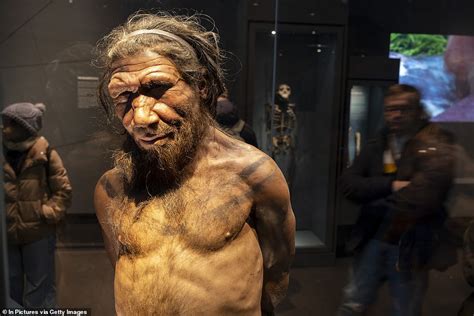 Study: Neanderthals never truly went extinct