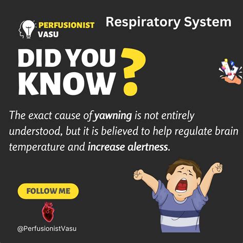 Lower Extremity | What is Lower... - Perfusionist Vasu | Facebook