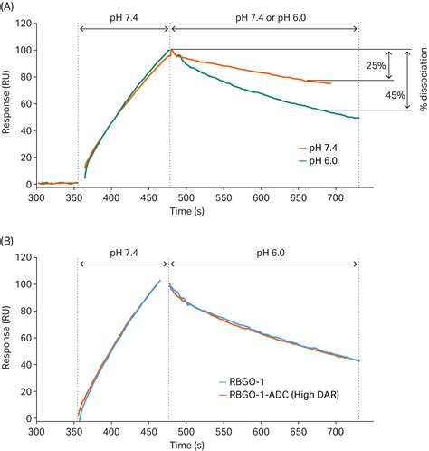 ADC development grows more complex — SPR insights bring clarity