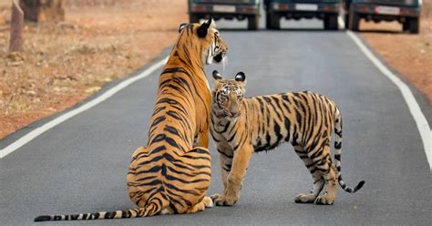 Así es la primera Ruta Roja del mundo que busca evitar que los autos ...