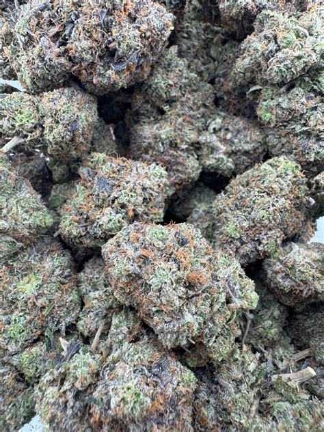 Buy Tom Ford Rockstar - (Pressure Farms BC) Online at ZenCo