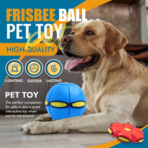 Pet Toy Flying Saucer Ball – FlipaShop