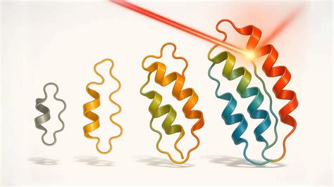 Dna And Rna Similarities