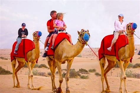 LIVE ADVENTURE TOURS (2026) All You Need to Know BEFORE You Go (with ...