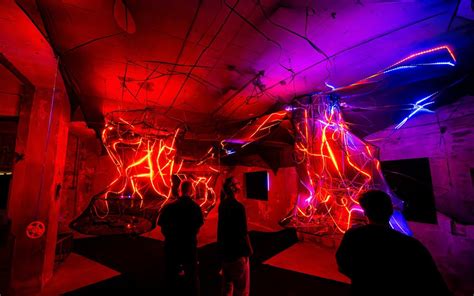 A digital banyan tree, whale song, and Mycelium Punk are in Bengaluru ...