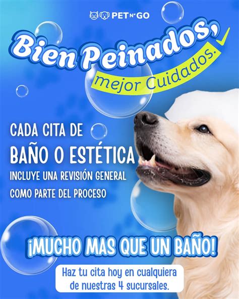 Hill's Prescription Diet – Pet n'GO