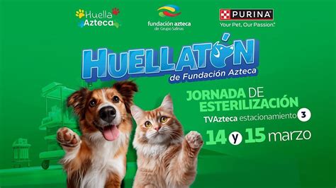 Huellatón de esterilización 2026, E3 TV azteca, Ciudad de México, 14 ...