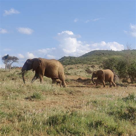 BULLS EYE TRAVEL (2026) All You Need to Know BEFORE You Go (with Photos ...