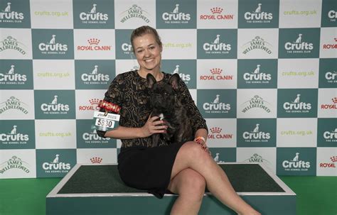 Crufts 2025: Sushi the French Bulldog from Thorney, Peterborough, wins ...