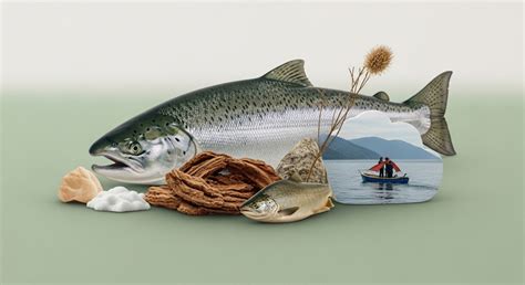 Human-Wildlife Interface → News → Sustainability