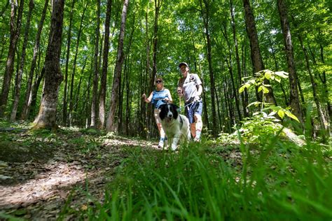 Plan de conservation des milieux naturels, 1, chemin Fournel, Sainte ...