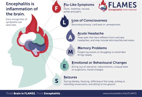 FLAMES Warning Signs for Encephalitis 2026 | EveryTechEver