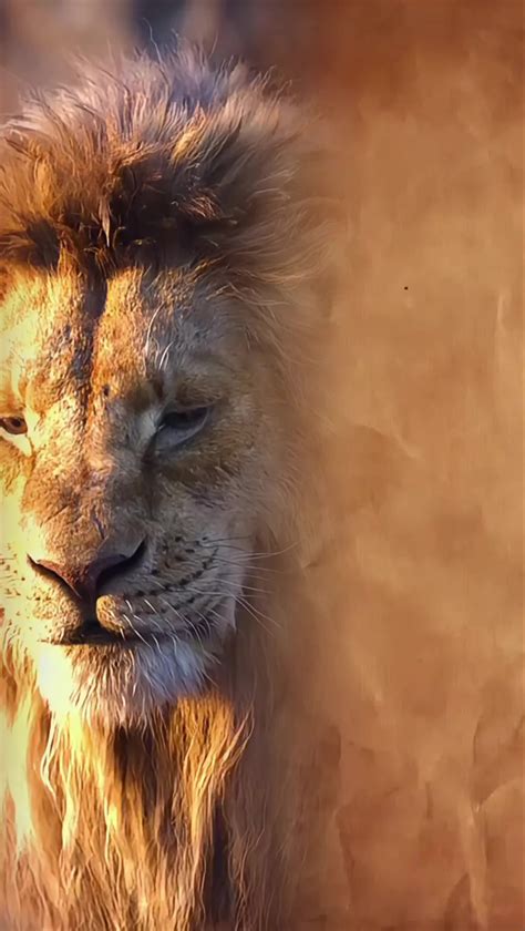 Iglesia Cristiana Ebenezer (@ebenezerzonauno)’s videos with original ...