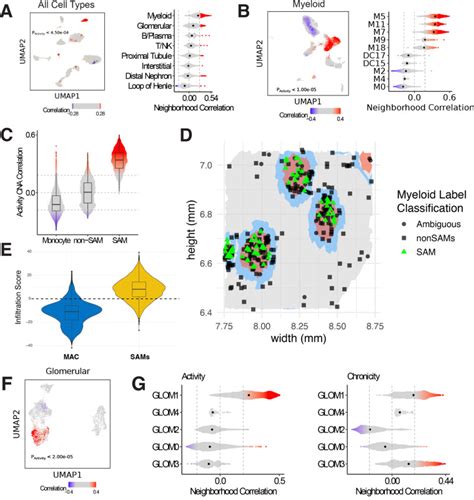 A population-scale atlas of blood and tissue in lupus nephritis - PMC