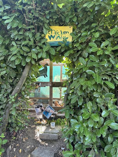 Chicken Window, Portland, OR: Information, Tickets and Reviews