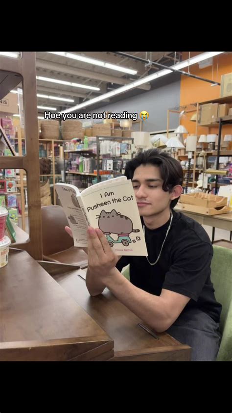 Engaging with Pusheen: Fun and Playful Moments | TikTok