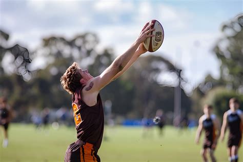Ear Care Tips During Footy Season in Melbourne - Crystal Clear Clinic
