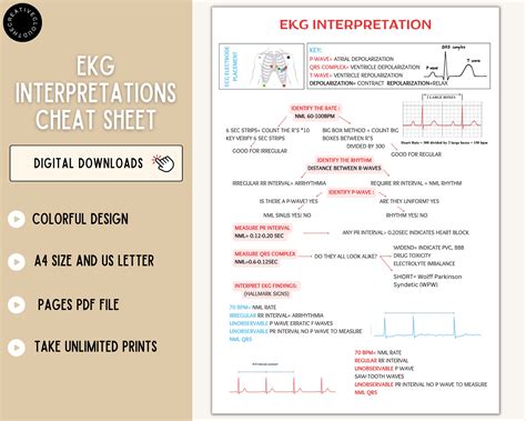 ECG Interpretation Cheat Sheet PDF Download