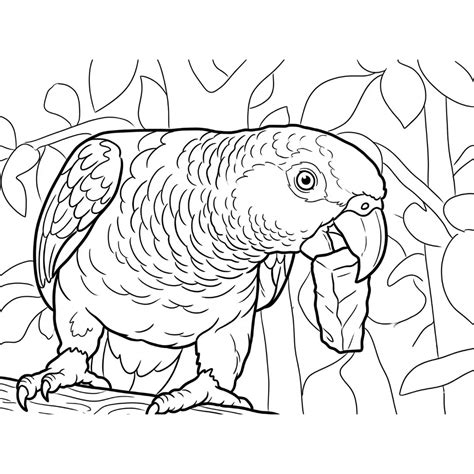 15 Parrot Coloring Pages - Explore Exotic Feathers and Textures!