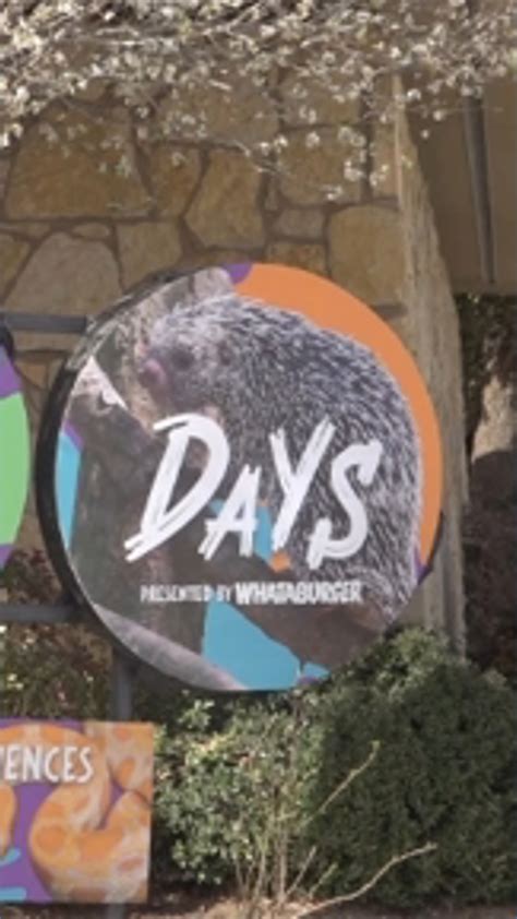 Abilene Zoo hosting ‘Wild Days’ Spring Break event | myfoxzone.com
