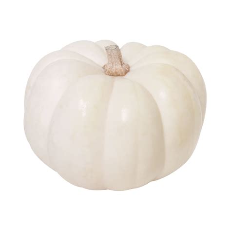 CALABAZA BLANCA MINI CASPERITA S/MARCA 1.0 - PZA