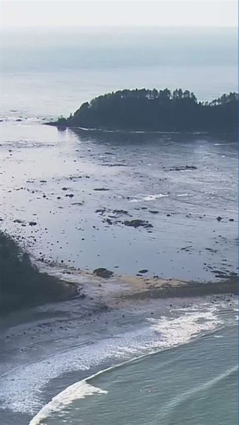 UW study shows PNW waters acidifying faster than rest of world's oceans | king5.com