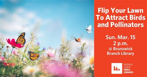 Flip Your Lawn To Attract Birds and Pollinators, 915 N Maple Ave ...