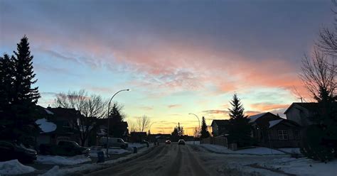 Calgary police commission questions why its officers can't impound ...