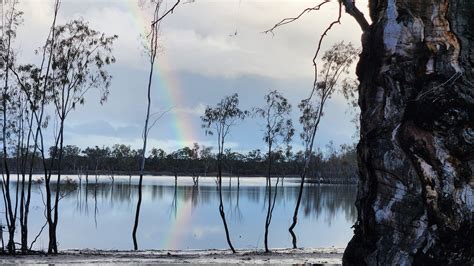Hattah-Kulkyne National Park - Aussie Bird Spots