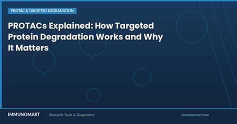 PROTACs Explained: How Targeted Protein Degradation Works and Why It ...